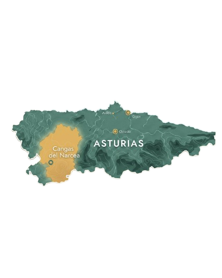 Mapa de Cangas del Narcea en Asturias